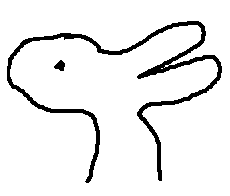 rabbit